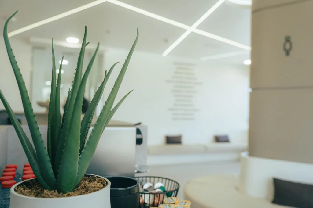 Alnoor Medical Center - dental clinic in Ras Al Khaimah - dentist in Ras Al Khaimah - dental practice in Ras Al Khaimah - beauty​ clinic in Ras Al Khaimah